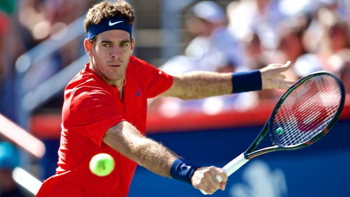 Del Potro vs Berdych en vivo online: ATP Cincinnati
