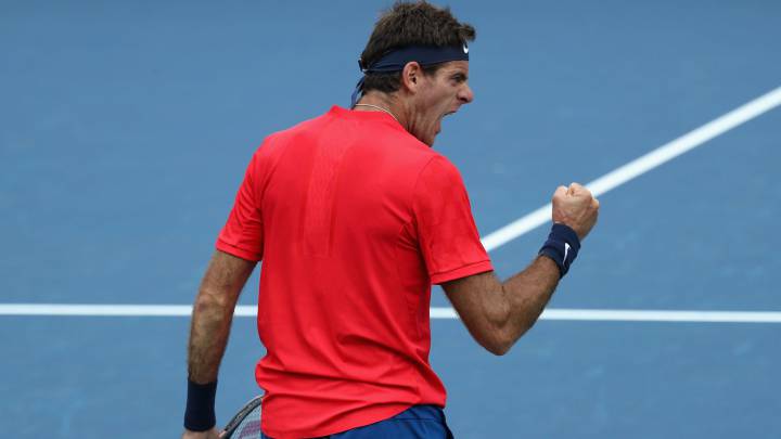 ¡Del Potro gigante!: superó sin problemas a Krueger