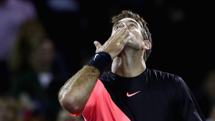Del Potro, Schwartzman y Mayer, a tercera ronda