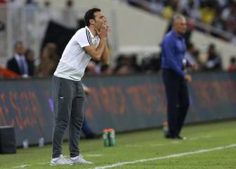 A fin de año se conocerá el seleccionador de Argentina
