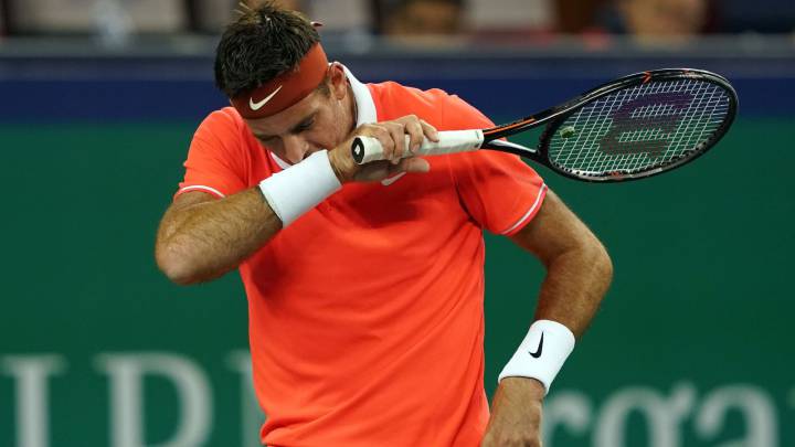 El tenista tandilense Juan Martín Del Potro comenzó con su recuperación, después de haber sufrido la fractura en la rótula de la pierna derecha.