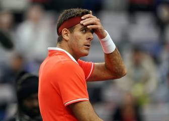 Del Potro tiene lugar y fecha de regreso tras su grave lesión