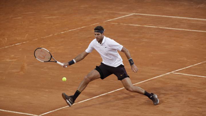 Del Potro ha vuelto