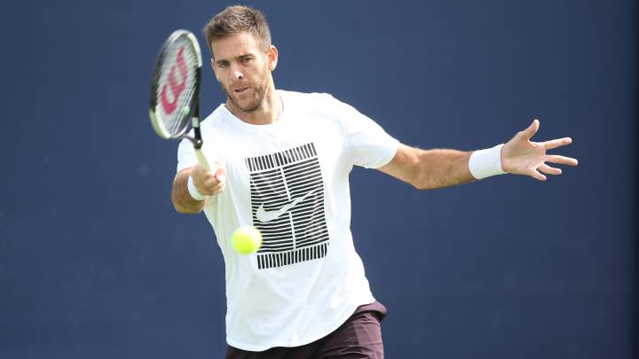 Del Potro: "Quiero estar listo para Wimbledon"