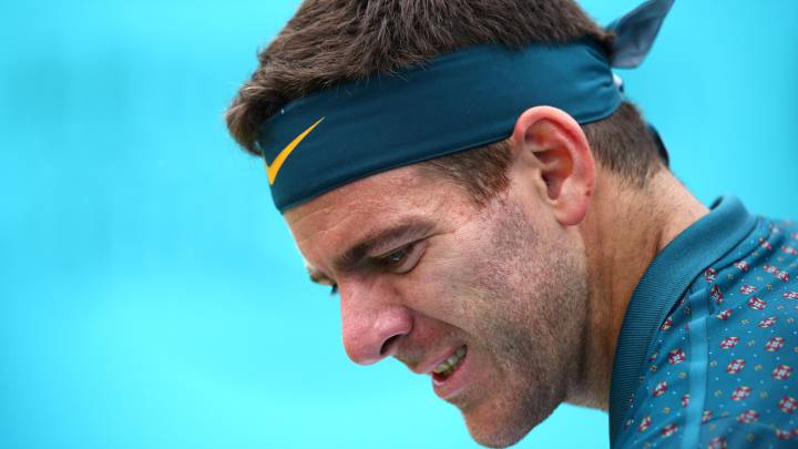 La larga segudilla de lesiones que no deja en paz a Del Potro