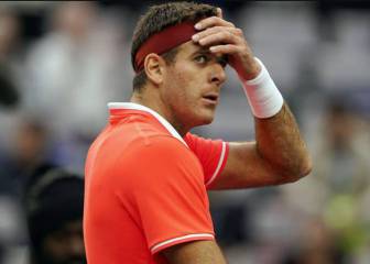Del Potro no jugará el US Open