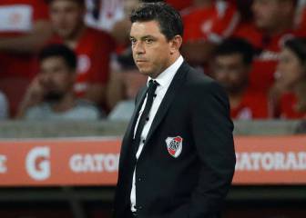 Gallardo: