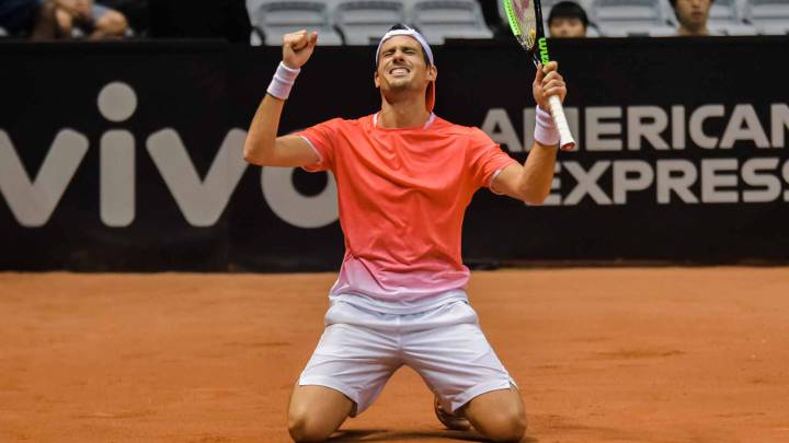 Pella: "La Copa Davis la ganó Argentina y no sólo Del Potro"