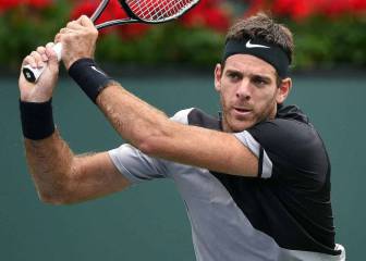 Por qué Del Potro no juega la Davis y sí contra Federer en Buenos Aires