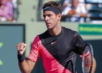 Del Potro pedirá ránking protegido para volver en Australia