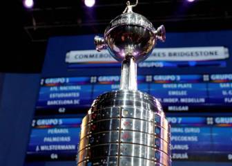 Dónde ver por TV la Copa Libertadores 2020 en Argentina