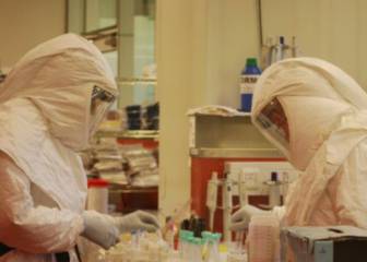 Coronavirus en Argentina: consiguen descifrar el genoma del Covid-19