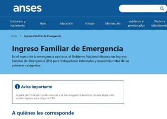 4 IFE de ANSES o Ingreso Básico: ¿En qué se diferencian?