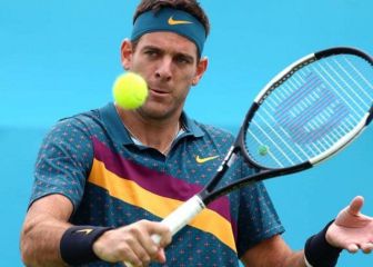 Del Potro: