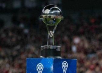 Fixture de partidos, fechas y horarios de equipos argentinos en fase de grupos