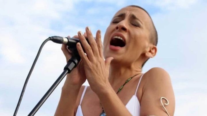 Cambios en la letra del himno nacional: quién lo modificó y cuáles fueron los motivos