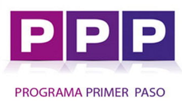 Programa Primer Paso: cómo postular y cuánto pagarán en 2021