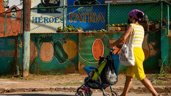 ANSES | AUH, AUE, desempleo y jubilados | Fechas de pago y quiénes cobran hoy, 25 de noviembre