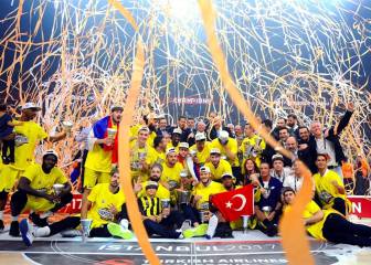 El Fenerbahçe se refuerza con Dogus: 45 millones en 3 años