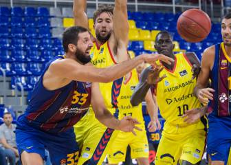Mirotic: