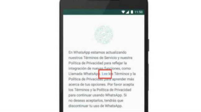 Las nuevas condiciones de WhatsApp pueden ser rechazadas