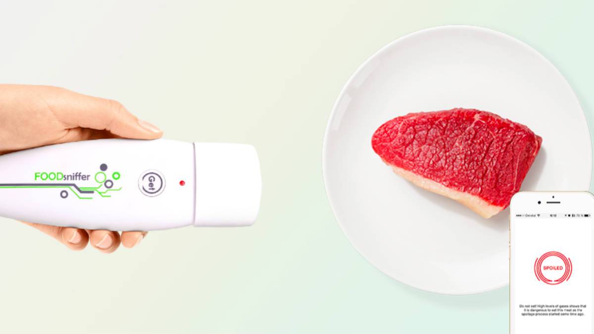 Foodsniffer, el gadget para comprobar los alimentos frescos de la nevera