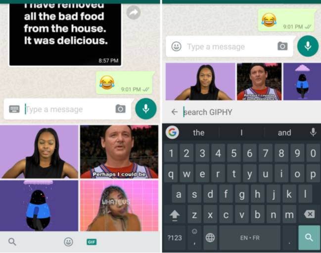 whats app buscador gif
