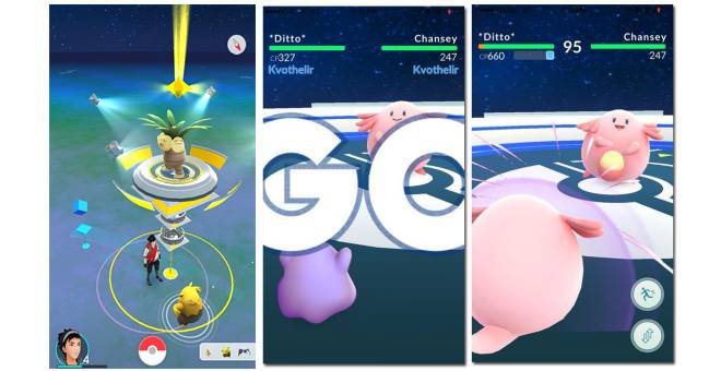 gimnasio pkmn