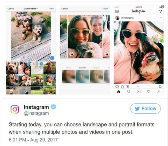 tweet instagram