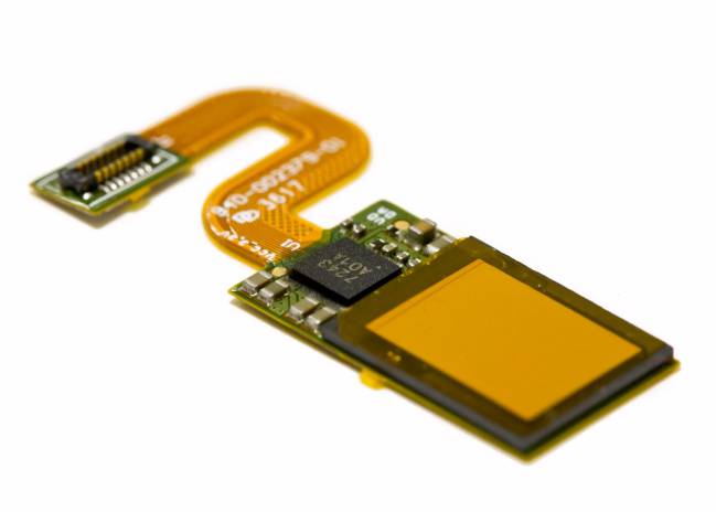 sensor synaptics