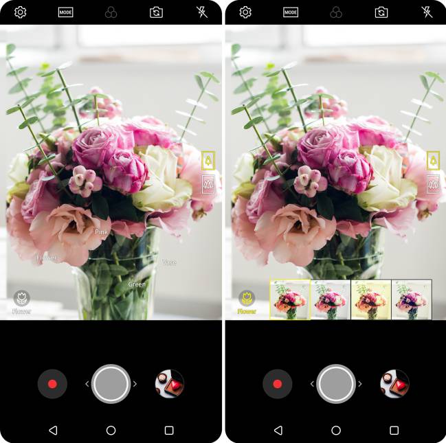 lg vision