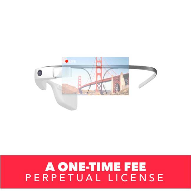 Google Glass Enterprise