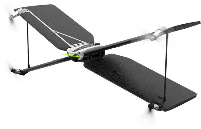 parrot swing