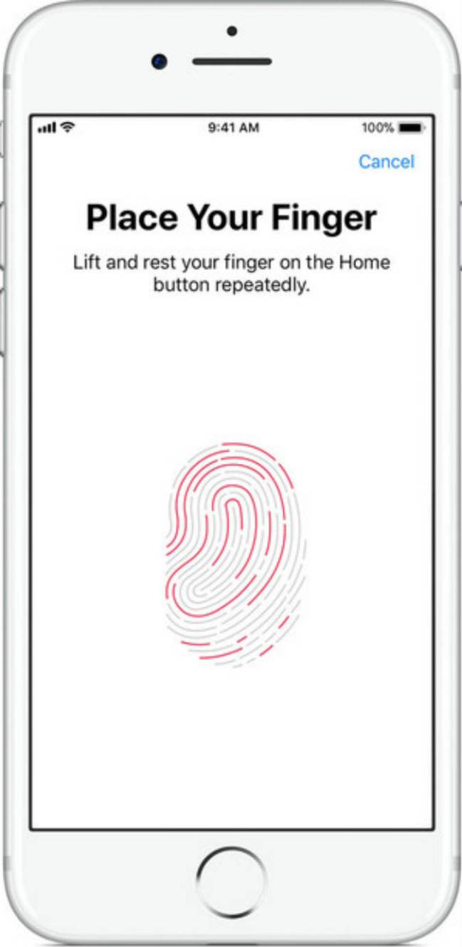 El Touch ID biométrico de un iPhone