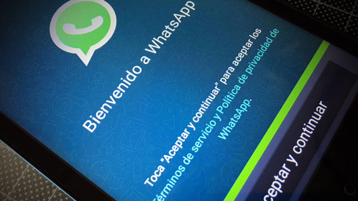 whatsapp datos