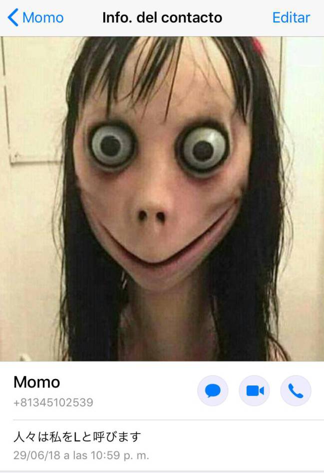 Lo que encontramos al añadir a Momo por WhatsApp