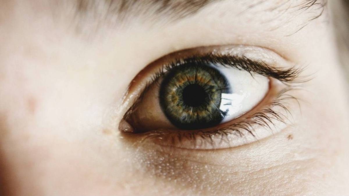 Adiós privacidad: esta IA detecta tu personalidad sólo analizando tus ojos