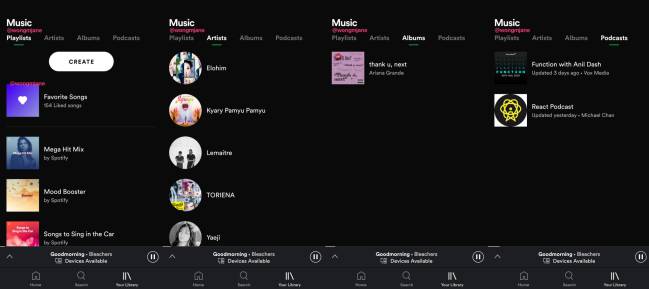 spotify biblioteca
