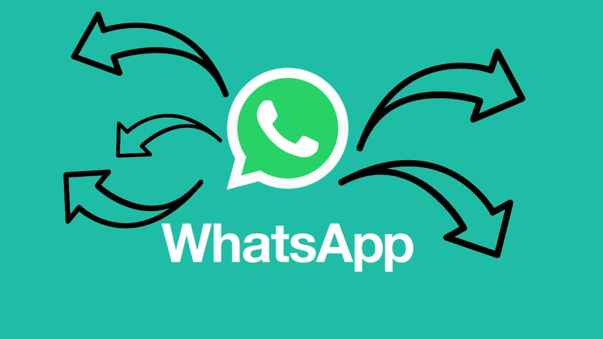 whatsapp renvio