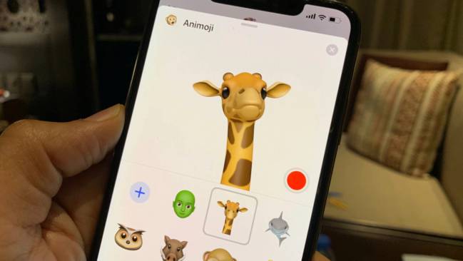 jirafa animoji