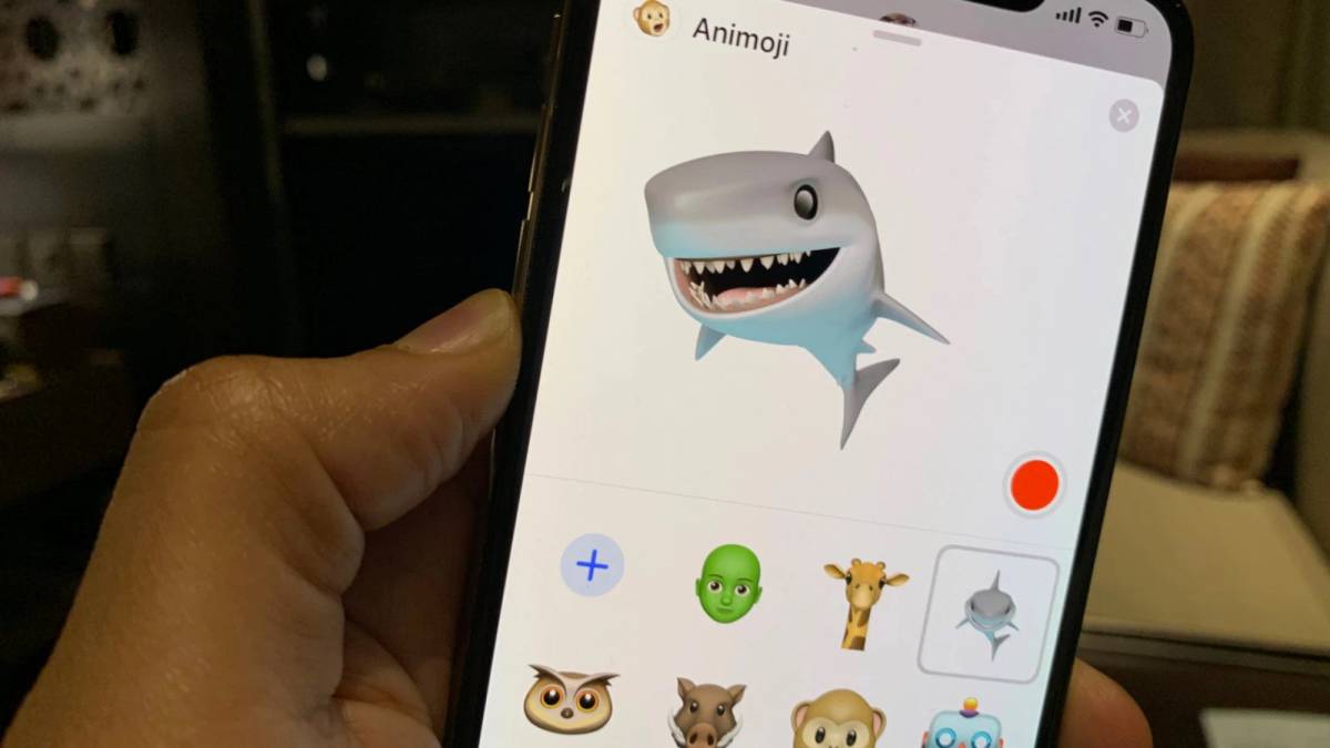tiburon ios 12