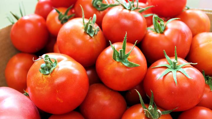 Los tomates son muy buenos para la salud.
