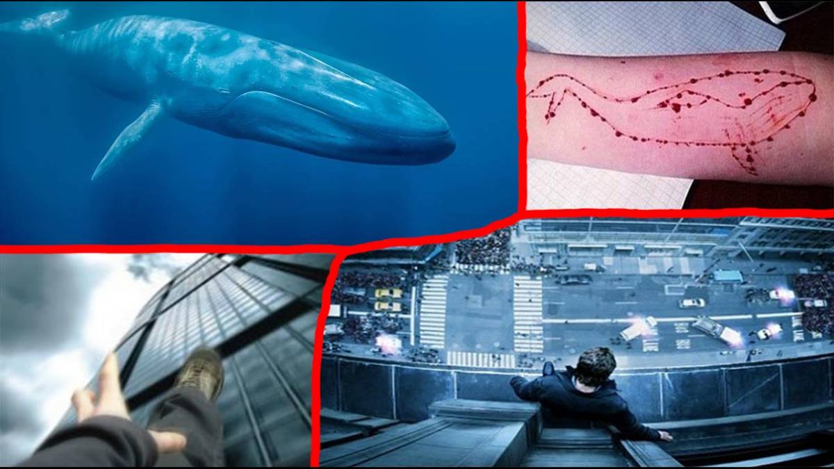 ¿Qué es el reto de la ballena azul y por qué genera tanta polémica