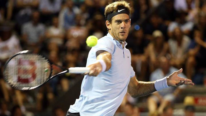 Del Potro sigue inspirado y jugará la final de Auckland