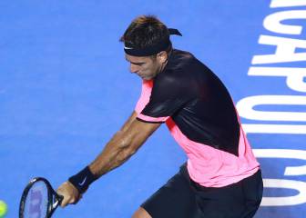 Del Potro supera la dura prueba de Ferrer en Acapulco