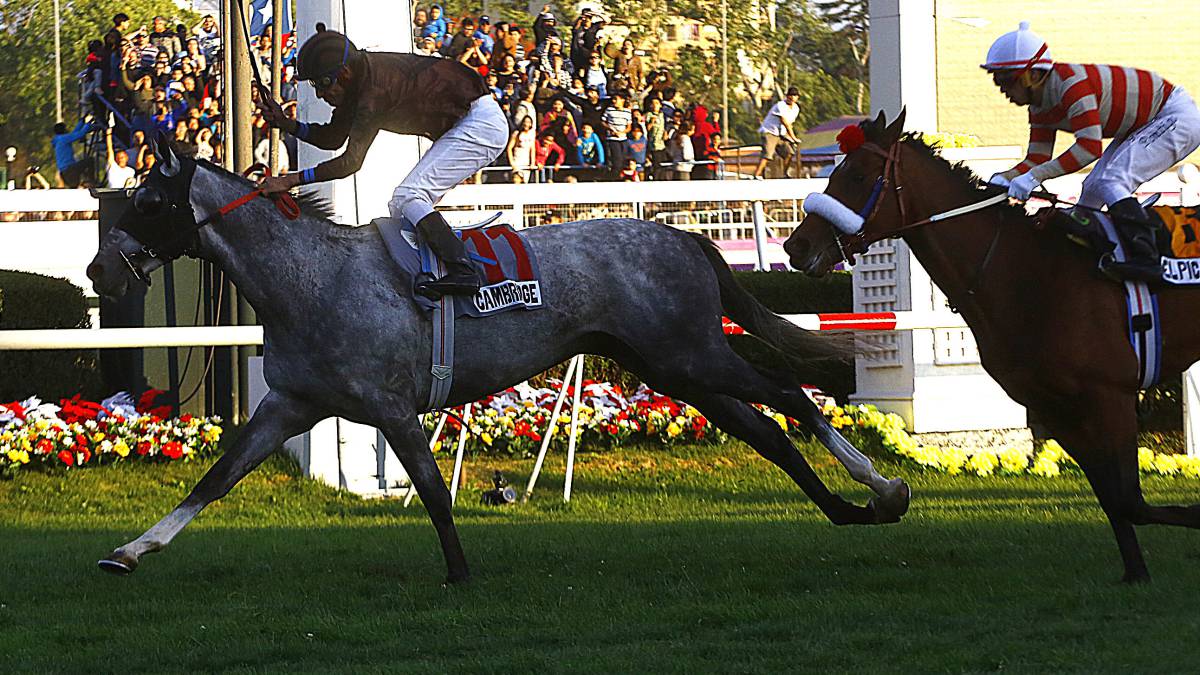 Cambridge sorprende al favorito y gana El Ensayo