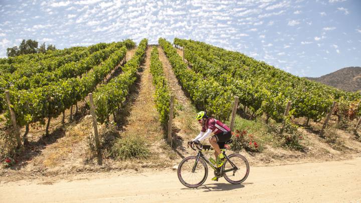 Sepúlveda y Contreras celebran en la Gran Fondo Ruta del Vino