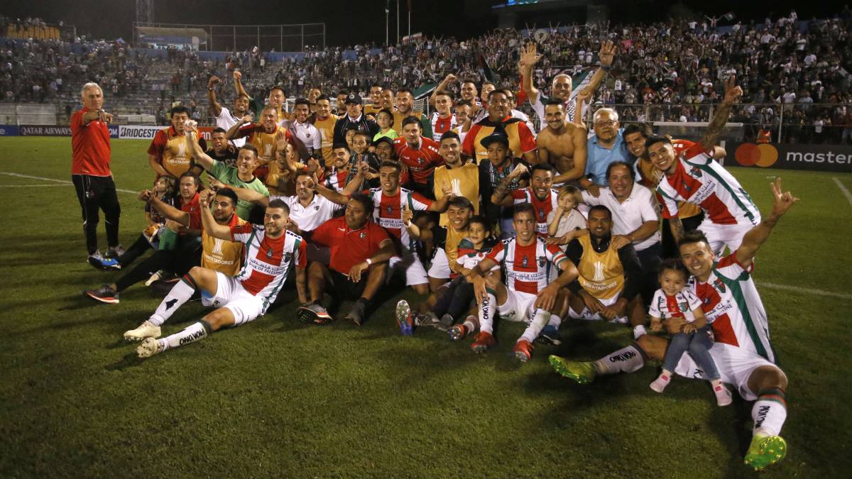 La millonaria cifra que recibirá Palestino por la Libertadores