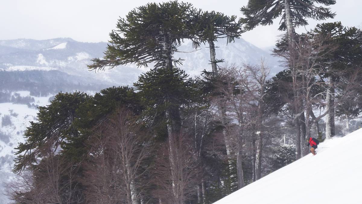 El sur de Chile se tomará el Freeride World Qualifier