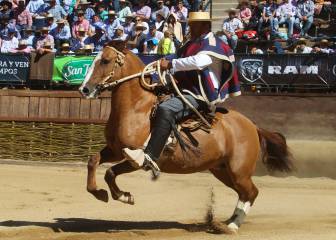Ministra del Deporte entra al debate y defiende el rodeo